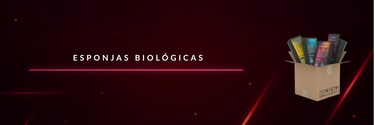 ESPONJAS BIOLÓGICAS