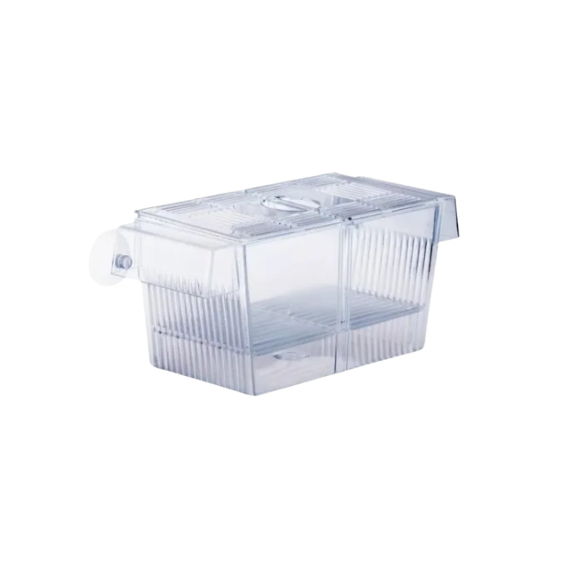 CRIADEIRAFLUTUANTE ACRILICA SKRw CR-13 22X9X10CM