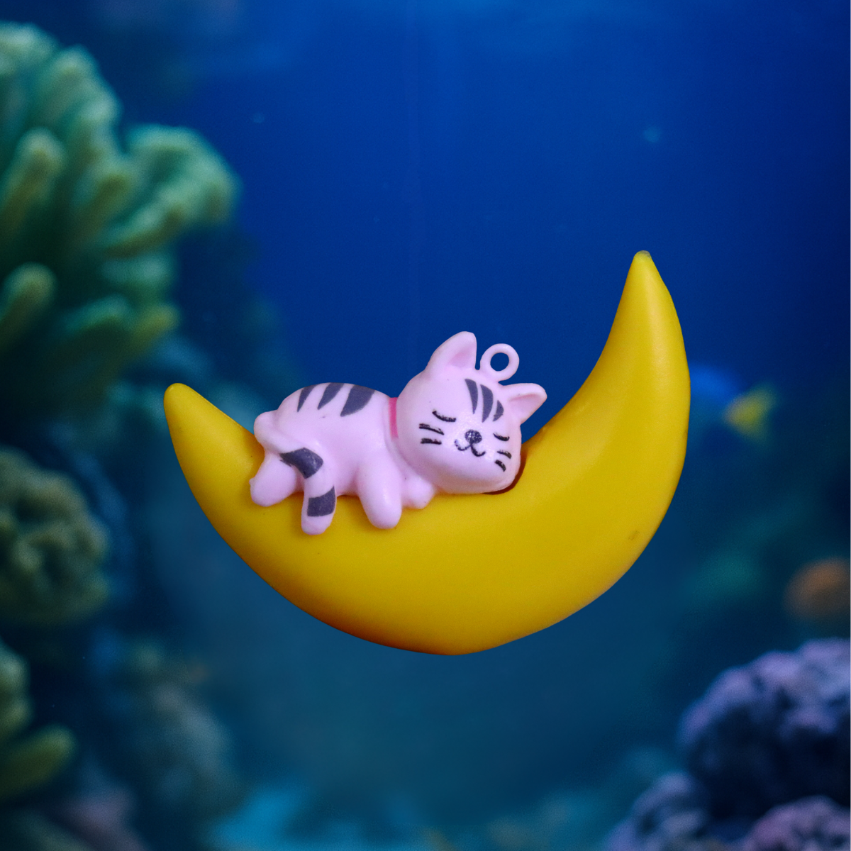 ENFEITE LUA. FLUTUANTE COM GATINHO DORMINDO SKRw