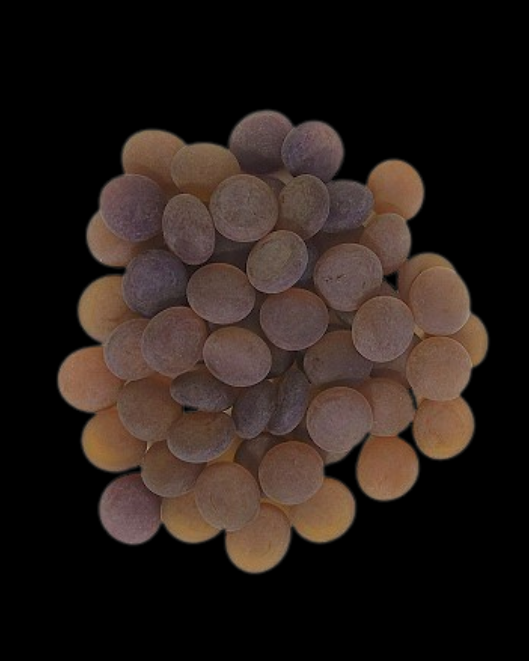 ENFEITE DE VIDRO FOSCO MARROM 200G SKRw